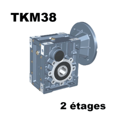 Réducteur roues et vis RED_TKM38B