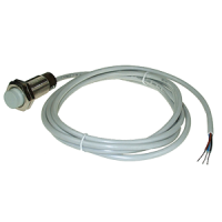 Détecteur inductif M12 24VDC 2 fils, NO, PNP, non noyable, Connecteur M12