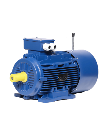Moteur Électrique Frein IE3 3000 tr/min B3 | Technic-Achat