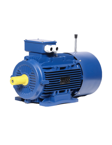 Moteur Électrique Frein IE3 3000 tr/min B3 | Technic-Achat