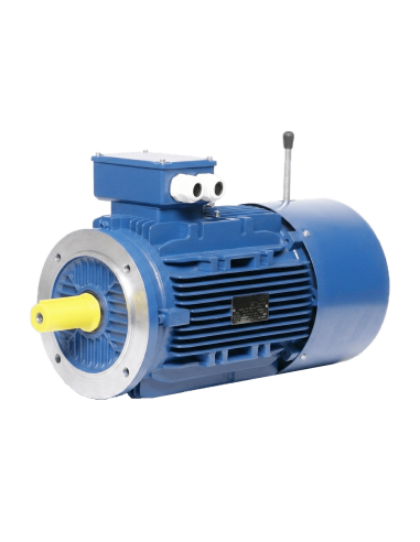 Moteur Frein IE3 3000 tr/min B14 380/690v | Technic-Achat