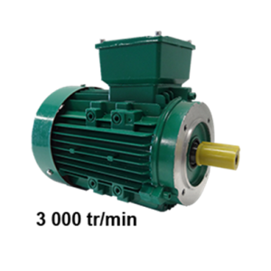 Moteur triphasé 220/380V B14 3000tr