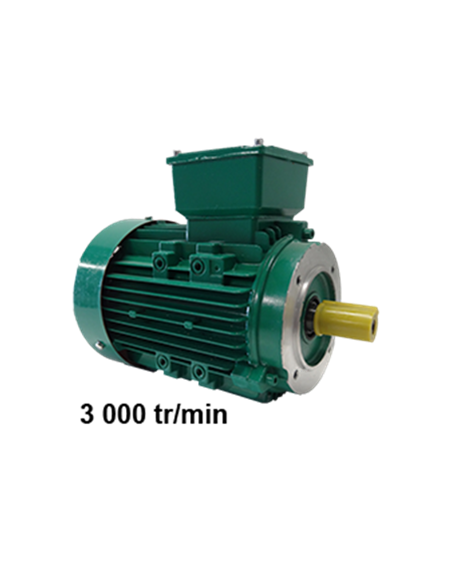 Moteur triphasé 220/380V B14 3000tr