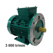Moteur triphasé 220/380V B5 3000tr