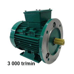 Moteur triphasé 220/380V B5 3000tr