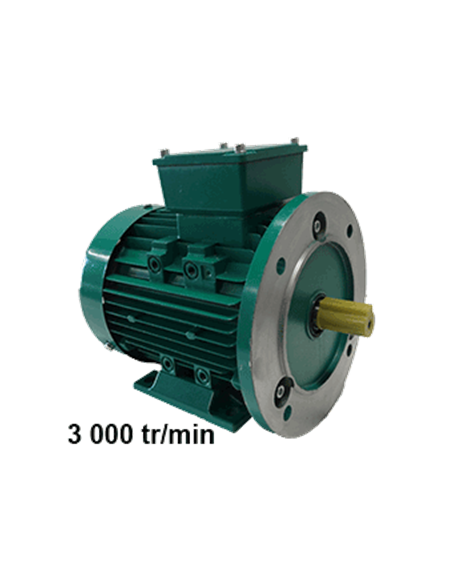 Moteur triphasé 220/380V B5 3000tr
