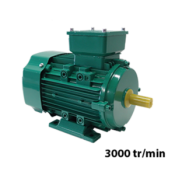 Moteur triphasé 220/380V 3000 tr