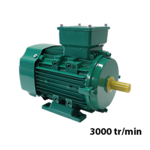 Moteur triphasé 220/380V 3000 tr