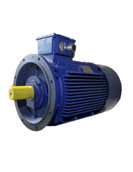Moteur électrique asynchrone 3000 tr B5