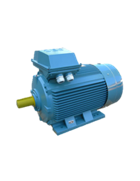 Moteur électrique asynchrone 3000 tr B3
