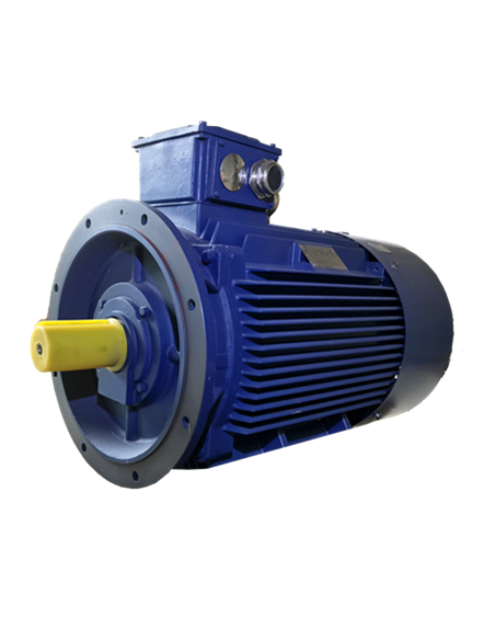 Moteur électrique asynchrone 1000 tr B5