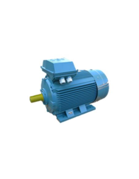 Moteur élec 160L, B3, 2P 2950 tr, Fonte, 18.5 Kw, 400/690V, IE3 MF18B2IE3_B3