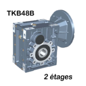 Réducteur TKB48