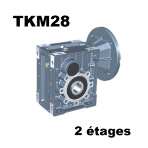 Réducteur roues et vis RED_TKM28B