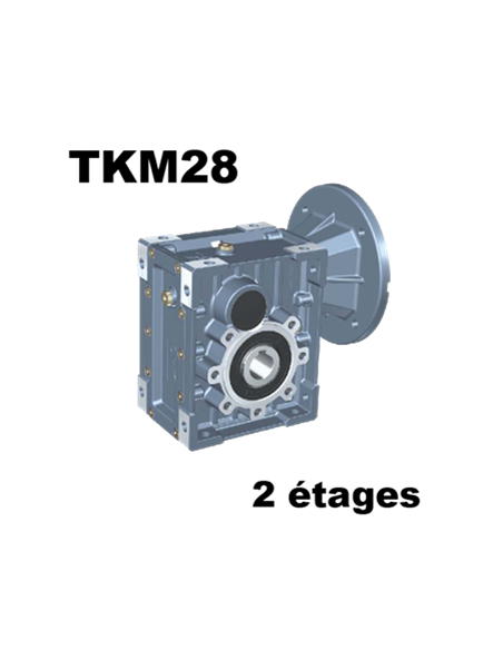 Réducteur roues et vis RED_TKM28B