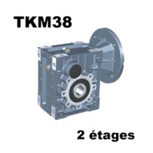 Réducteur roues et vis RED_TKM38B